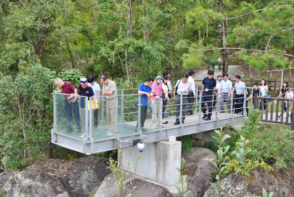 🏞️ 소기 폭포(소기노타키) 이미지 7